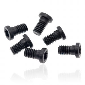 Hinge Screws (Torx T8) For MacBook Pro 13" A1502 (2013-2015)