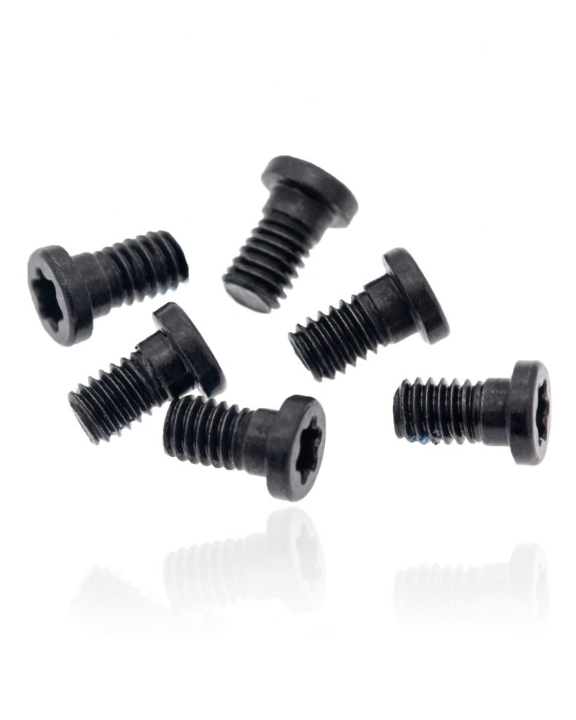 Hinge Screws (Torx T8) For MacBook Pro 13" A1502 (2013-2015)