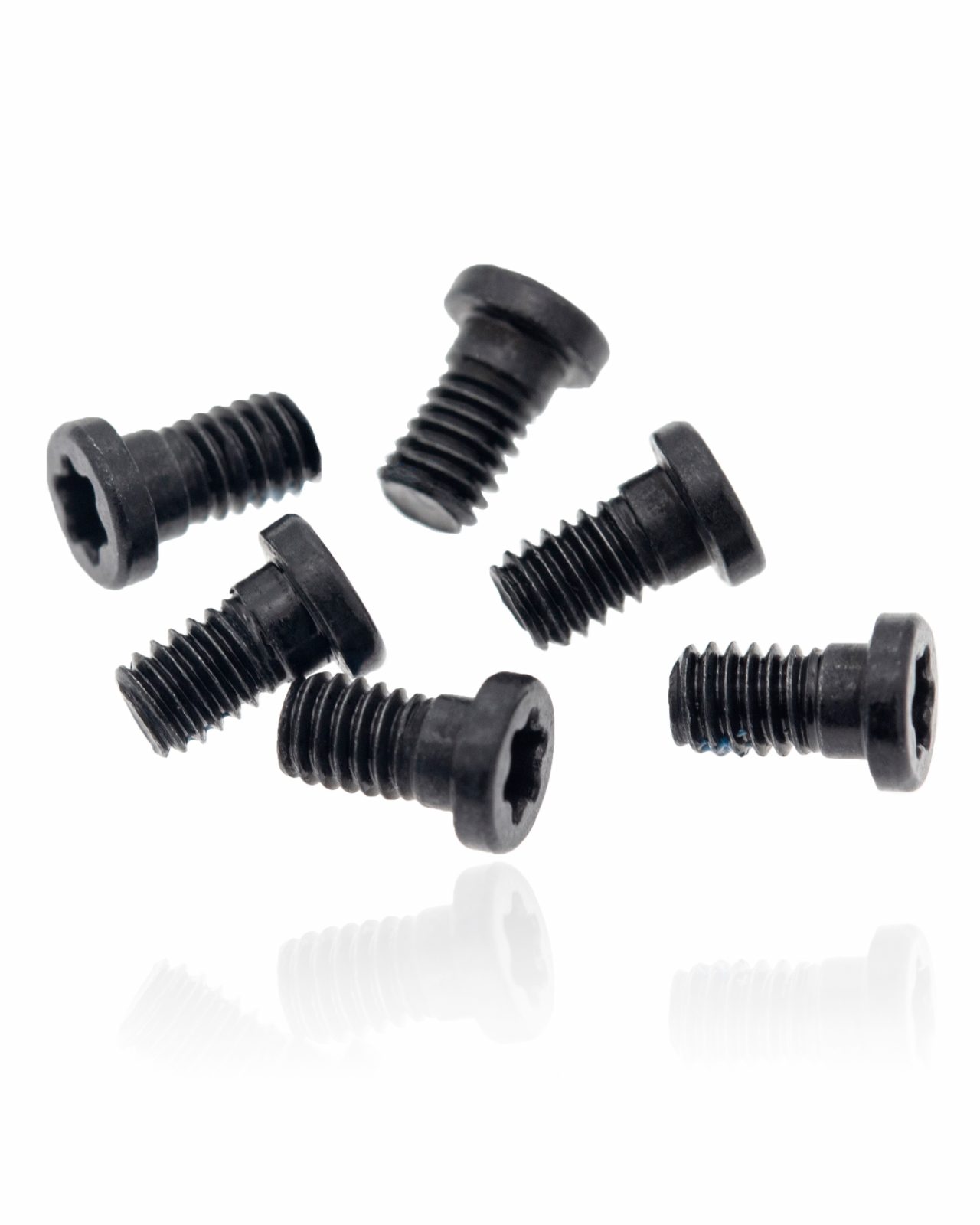 Hinge Screws (Torx T8) For MacBook Pro 13" A1502 (2013-2015)