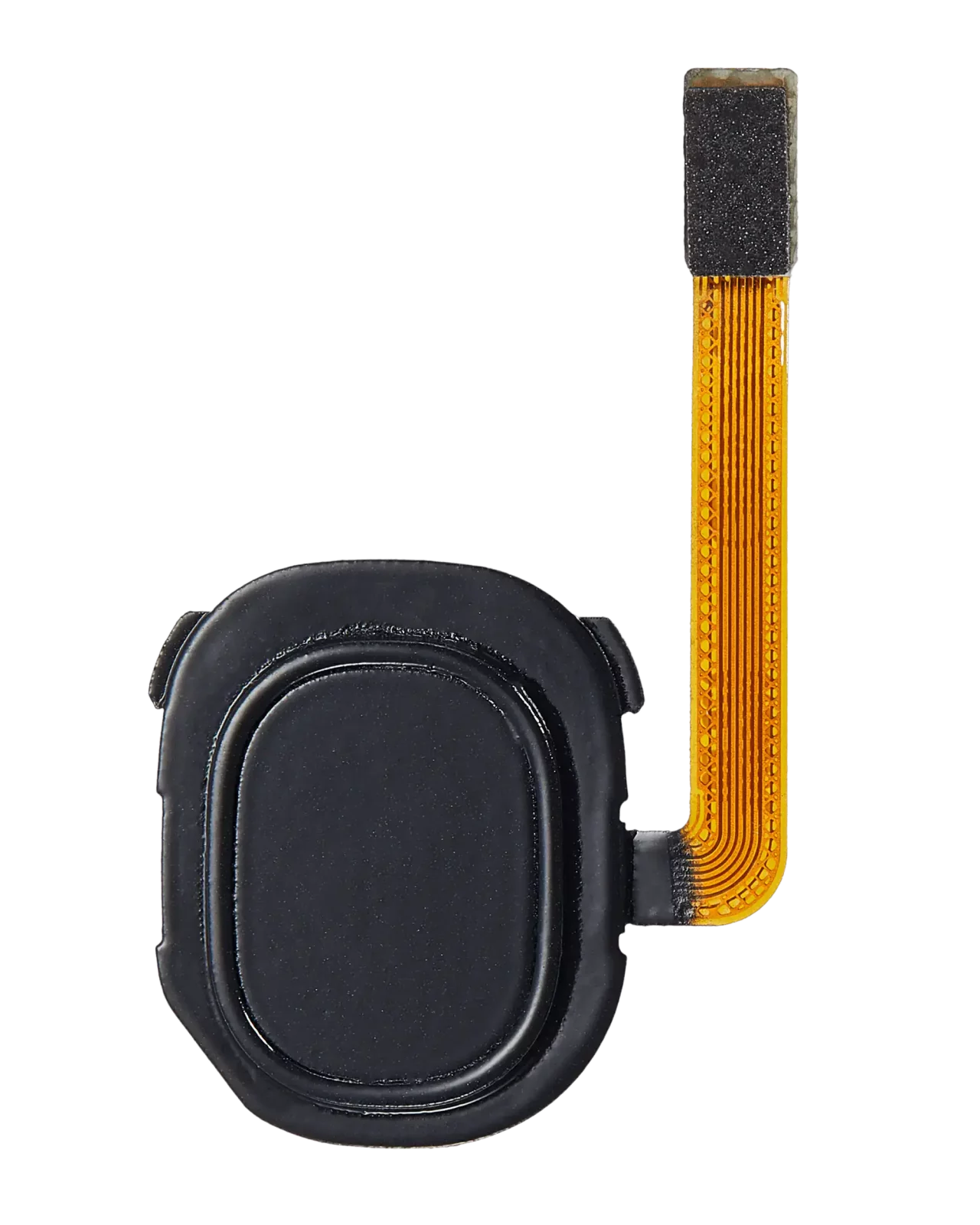 Fingerprint Reader With Flex Cable For Samsung Galaxy A20 (A205 / 2019) (Black)
