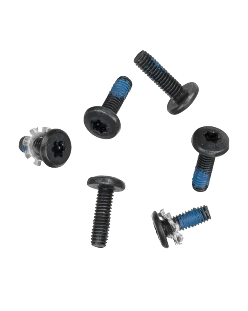 Hinge Screws (Torx T8) For MacBook 13" A1342 (2009-2010)
