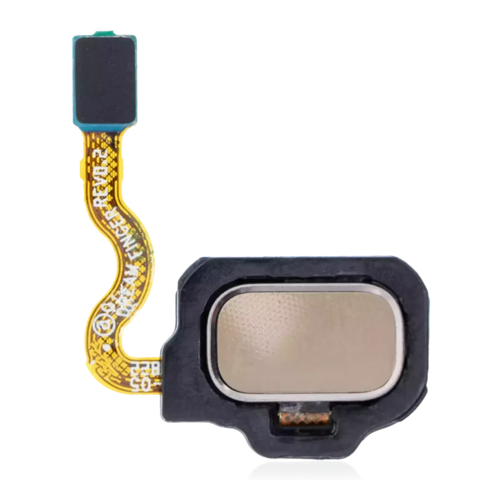 Fingerprint Reader With Flex Cable For Samsung Galaxy S8 / S8 Plus (Maple Gold)