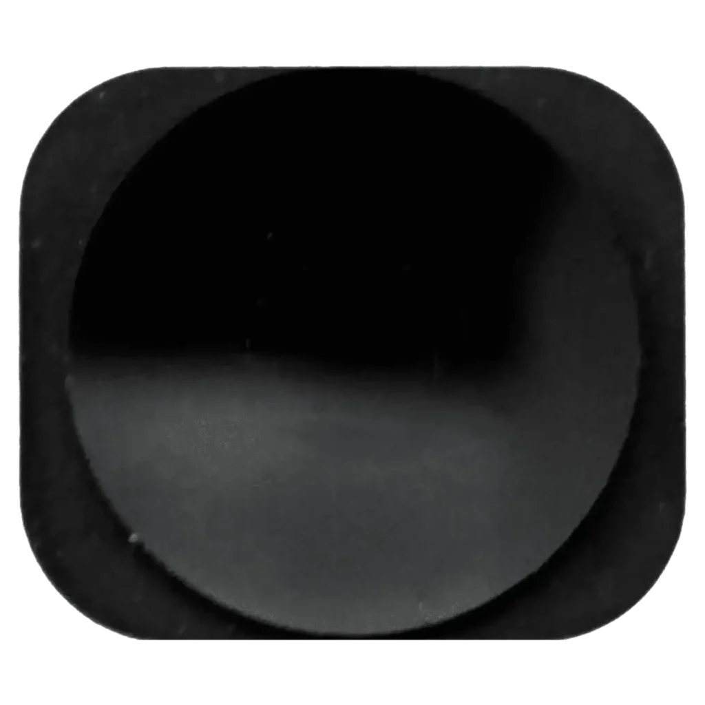 Home Button For iPhone 5 / 5C (Black)