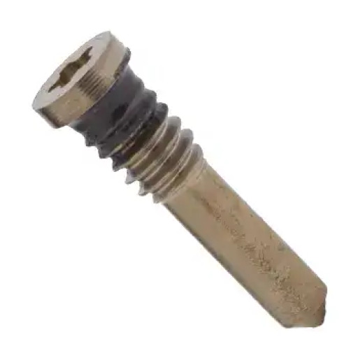 Dock Connector Screw (USB-C Port Mount) For iPhone Air (Light Gold) (Genuine OEM) (Pack of 100)